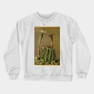 Vintage Cactus Poster Crewneck Sweatshirt